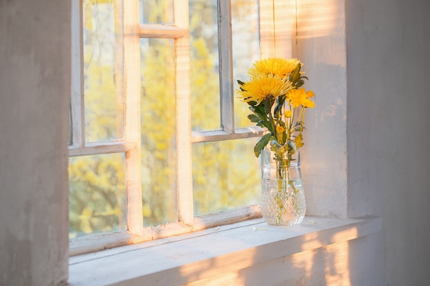 Gelbe Chrysantheme im Glaskrug auf Fensterbank