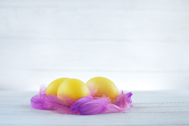 Gelbe Eier mit Federn auf einem weißen Hintergrund. Das Konzept von