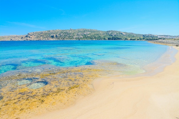 Gelbe Felsen am Strand von Capo Testa in Sardinien