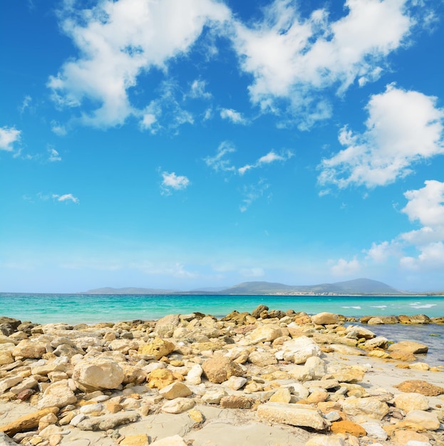 Gelbe Felsen am Strand von Maria Pia Alghero