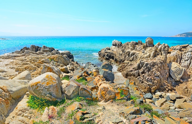 Gelbe Felsen am Strand von Santa Reparata Sardinien