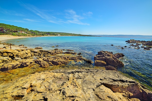 Gelbe Felsen in Le Bombarde Strand Sardinien