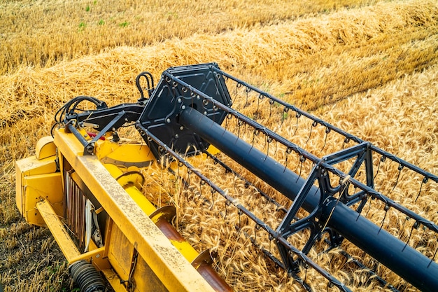 Gelbe Getreideernte Mähdrescher an einem sonnigen Tag Gelbes Feld mit Getreide Landwirtschaftliche Technik arbeitet im Feld Closeup