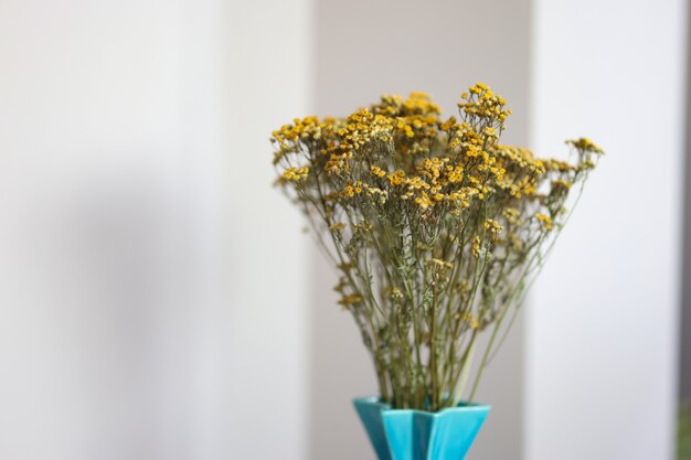 Gelbe getrocknete Statice Blumen in einer Vase closep