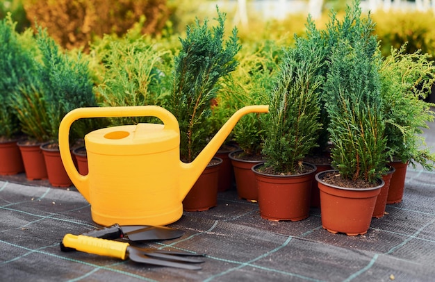 Gelbe Gießkanne Pflanzen in Töpfen und Arbeitsgeräte auf dem Boden Konzeption der Gartenarbeit