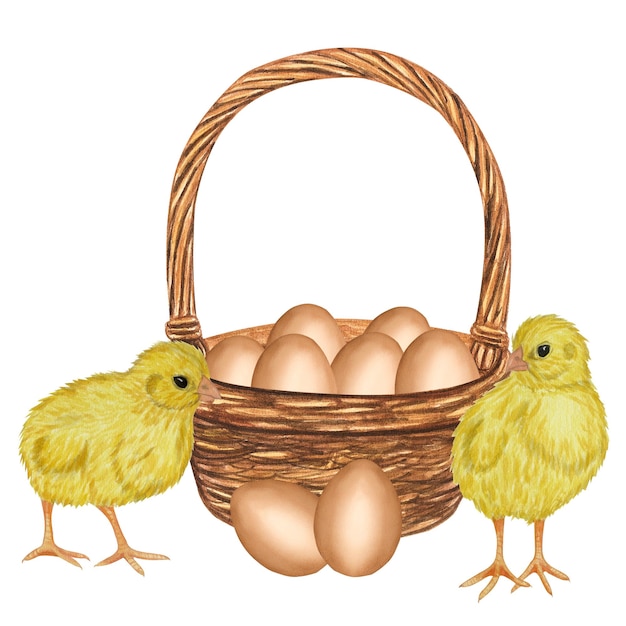 Gelbe Hühner braune Eierschale im Korb Farmprodukt Protein Frohe Ostern Handgezeichnete Aquarellillustration isoliert auf weißem Hintergrund