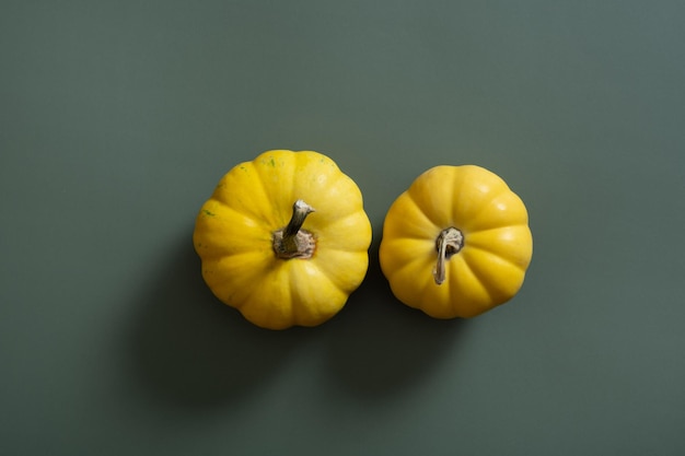 Gelbe Kürbisse auf grünem Hintergrund Herbst minimalistischer Stillleben