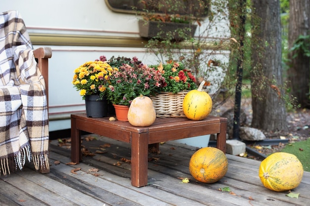 Foto gelbe kürbisse und herbstblumen in töpfen auf dem tisch.