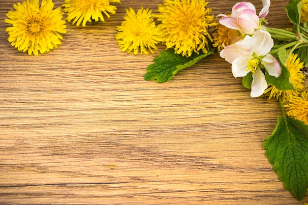 Gelbe Löwenzahnblumen und weiße Apfelblüten schließen sich für Hintergrundkopierraum an. Draufsicht, Farbrahmen mit Platz für Text, flache Lage