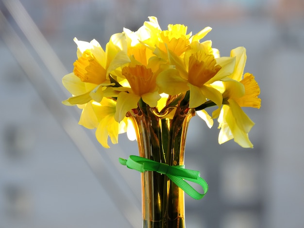 Gelbe Narzissen in einer Vase auf einer Fensterbank