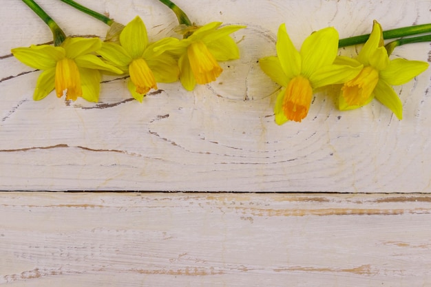 Gelbe Narzissenblumen auf weißem Holzhintergrund Grußkarte zum Valentinstag, Frauentag und Muttertag Draufsicht Kopierraum