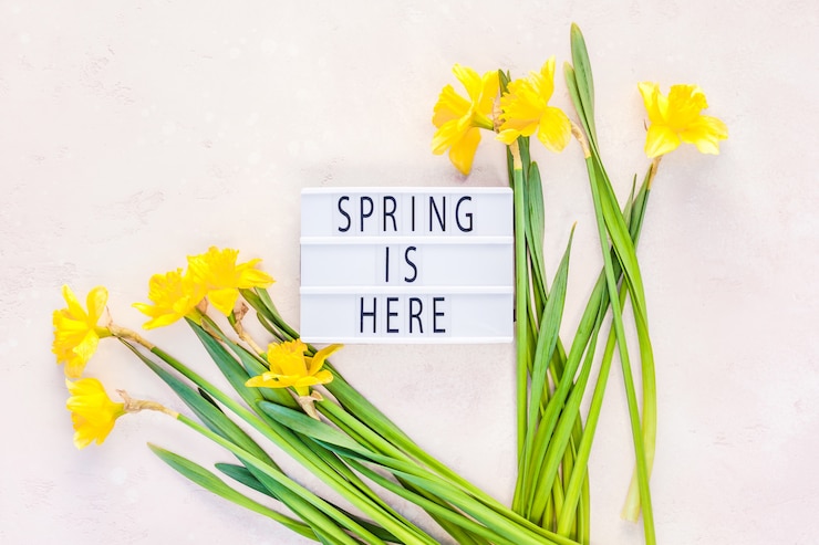 Foto gelbe narzissenfrühlingsblumen
