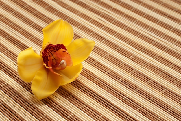 Gelbe Orchideenblüte auf einer Serviette aus Bambus
