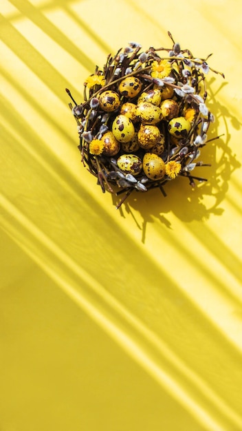 Gelbe osterfrühlingseier in einem nest aus ästen auf gelbem hintergrund, sonniger schatten, kopierraum, draufsicht, vertikales format für geschichten