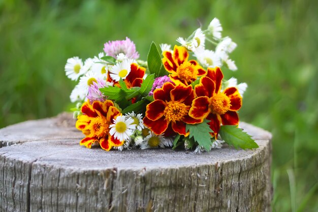 Gelbe Ringelblumen. Tagetes erecta