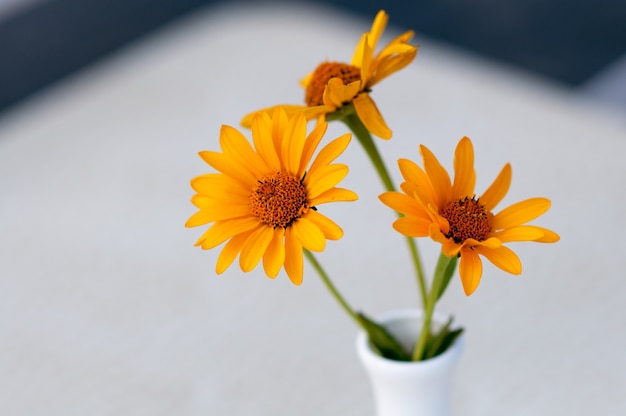 gelbe schöne Blumen im Hintergrund