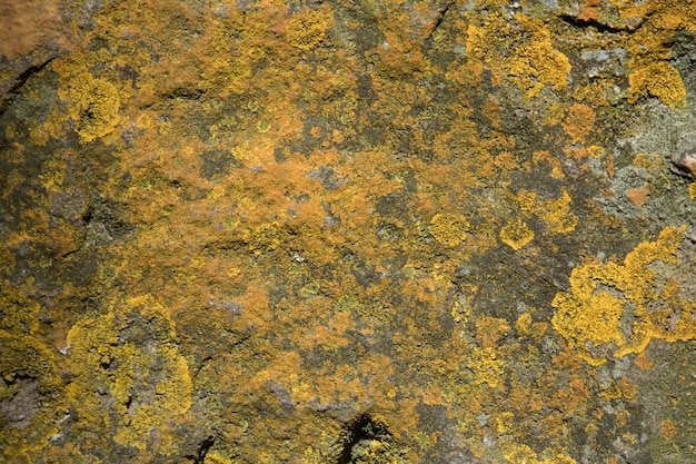 Gelbe Spuren von Feuchtigkeit in Stein