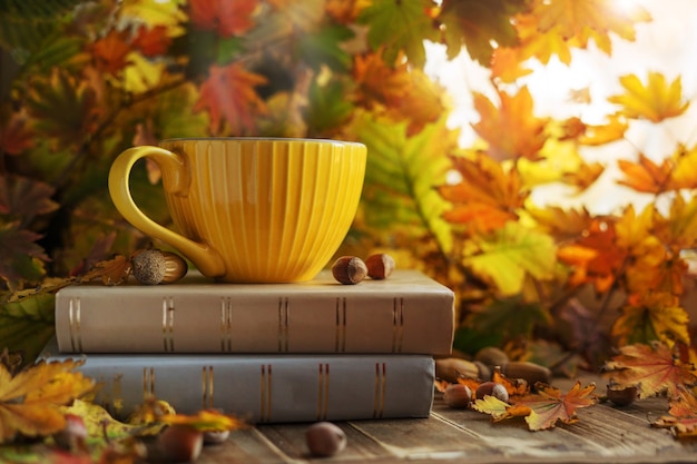 Gelbe Tasse Kaffee auf einem Stapel Bücher im Herbstlaub mit Eicheln und Nüssen. Herbststimmung.