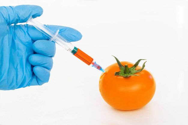 Gelbe Tomate und Spritze mit isolierten Nitraten. Pestizide und Nitrate werden von einem wissenschaftlichen Mitarbeiter in eine gelbe Tomate mit einem Spritzen-GVO-Lebensmittelzutatenkonzept injiziert