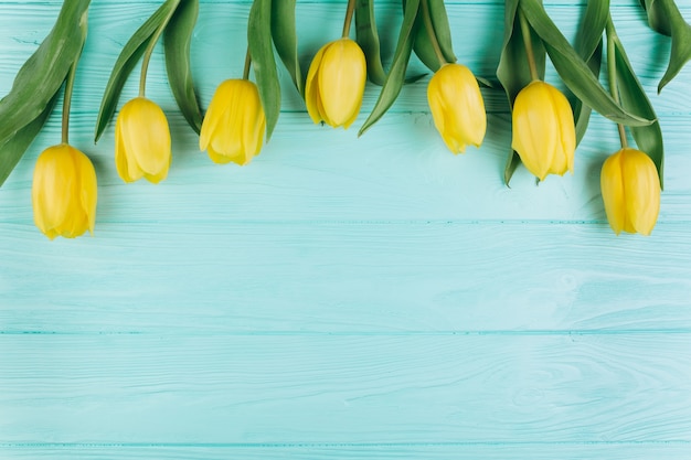 Gelbe Tulpen auf einem blauen hölzernen Hintergrund