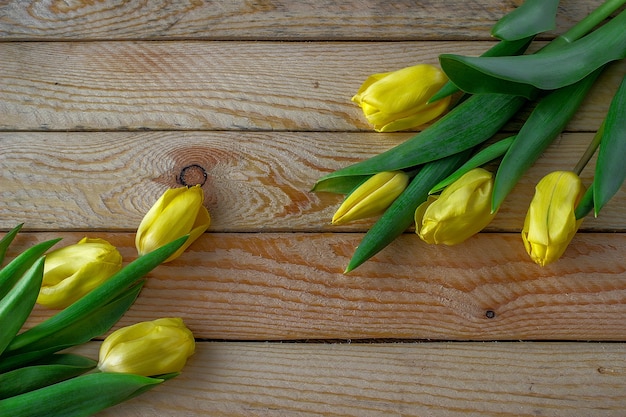 Gelbe Tulpen auf einem Holztisch. Kann als Hintergrund verwendet werden