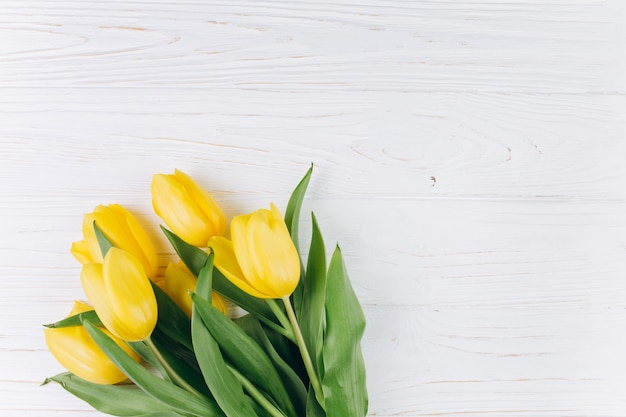 Gelbe Tulpen auf einem weißen hölzernen Hintergrund