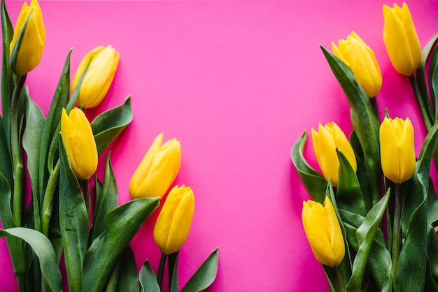 Gelbe Tulpen auf rosa pastellfarbenem Hintergrund Platz für Nachricht Blumen Frühlingskonzept Feiertagsgrußkarte zum Valentinstag Frauen Muttertag Ostern Geburtstag Platz für Text Draufsicht flach gelegt