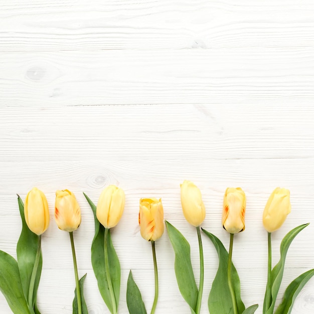 Gelbe Tulpen, die auf einem weißen hölzernen Hintergrund lokalisiert wurden, lagen flach von oben