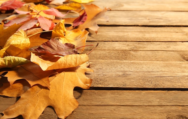 Gelbe und braune Herbstblätter auf hölzernem Hintergrund