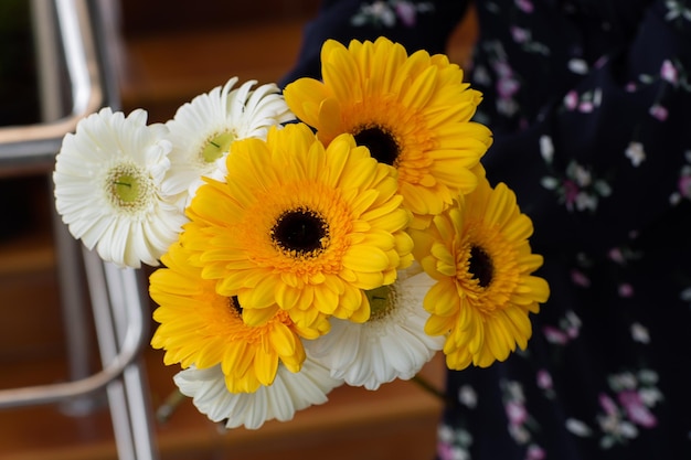 Gelbe und weiße Chrysanthemen in weiblichen Händen auf verschwommenem Hintergrund Nahaufnahme Schöne helle Chrysanthemen blühen im Herbst