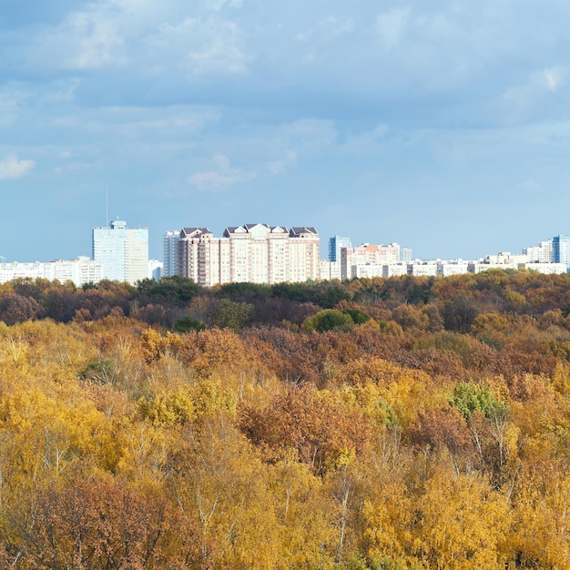 Gelbe Waldstadt beherbergt blaue Wolken