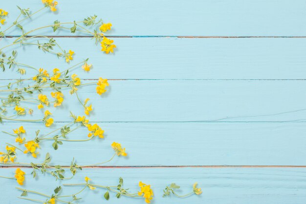 gelbe wilde Blumen auf blauem hölzernem Hintergrund