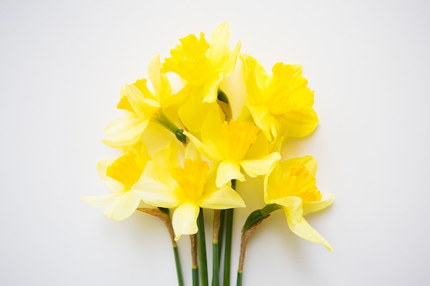 Gelber Blumenstrauß von den Narzissen, die auf weißer Tabelle liegen