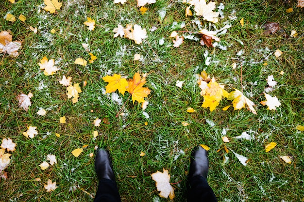 Gelber Herbstlaub liegt auf dem grünen Gras.