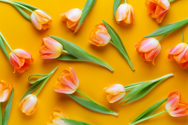 Gelber Hintergrund der gelben Tulpen