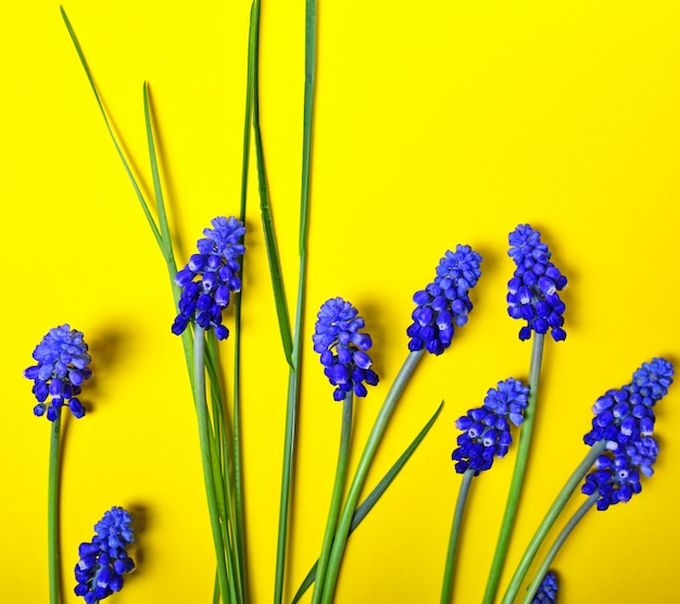 Gelber Hintergrund mit blauen Blumen