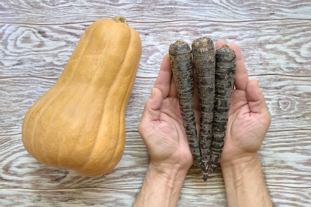 Gelber Kürbis auf einem Holztisch und schwarze Karotten in den Händen eines Mannes, Draufsicht