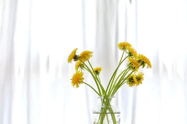 Gelber Löwenzahn in Vase im hellen Raum