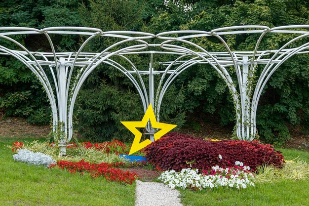 Gelber Stern neben einem Blumenbeet auf grünem Gras