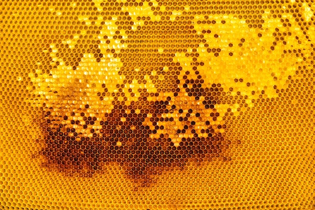 Gelber, teilweise verpackter Honigrahmen Natürlicher Hintergrund oder Textur