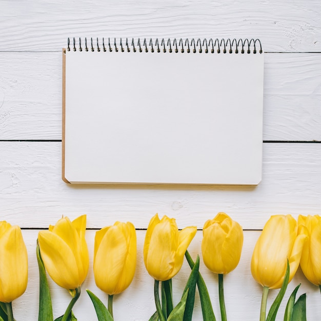 Gelber Tulpenbündel auf rustikalem Scheunentischhintergrund der weißen Holzbretter rustikal. Leerer Raum für Beschriftung, Text, Buchstaben, Inschrift. Schöne quadratische flache Laienpostkartenschablone.