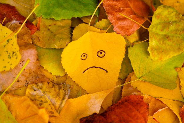 Gelbes Blatt mit einem Bild eines traurigen Gesichts auf dem Hintergrund des gefallenen Herbstlaubs