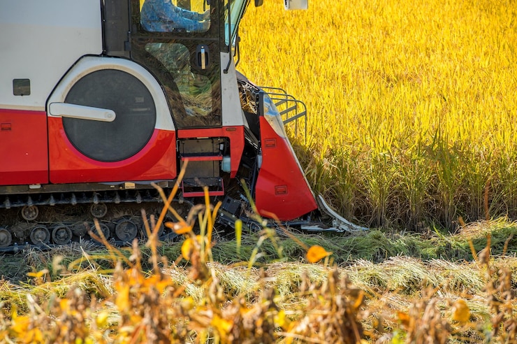 Foto gelbes fahrrad auf dem feld