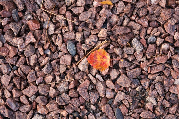 Gelbes Herbstblatt liegt auf dem Kies auf der Straße