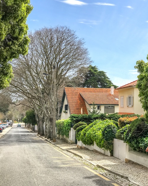 Gelbes Landhaus mit orange Dach und Garten der Fliese mit Baum in der Stadt Cascais, Portugal