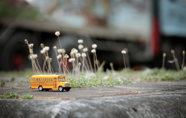 Gelbes Schulbus-Spielzeugmodell auf Landstraße
