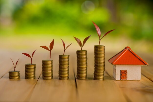 Geld sparen Ideen für Häuser, finanzielle und finanzielle Ideen, Geld sparen in Vorbereitung für die Zukunft, Aufwachsen von Münzen
