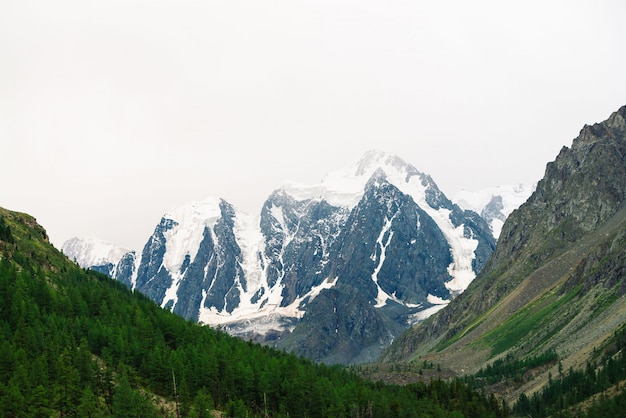 Geleira enorme surpreendente atrás da floresta das coníferas. Cordilheira nevado no céu nublado. Maravilhoso cume rochoso gigante com neve. Paisagem atmosférica de natureza majestosa das terras altas. Paisagem montanhosa de tirar o fôlego