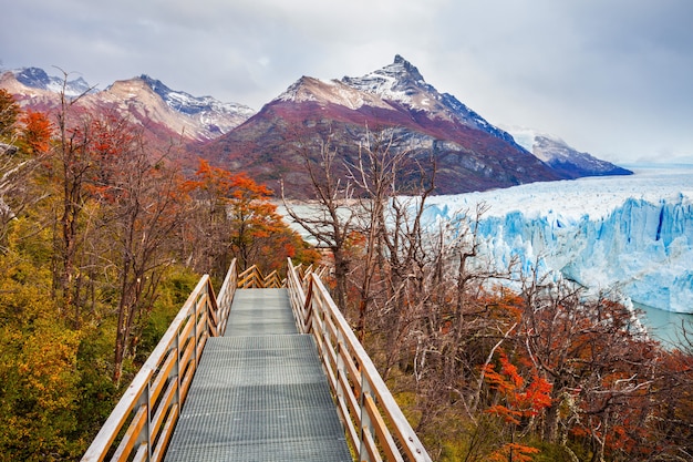 Geleira perito moreno