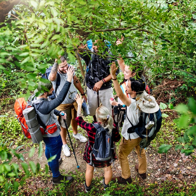 Gemeinsam in einem Wald wandern